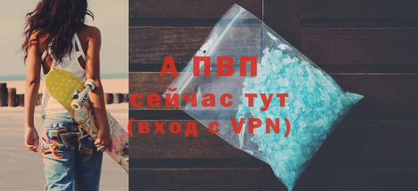 стафф Надым