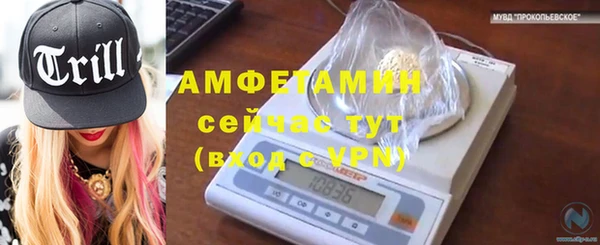 стафф Надым