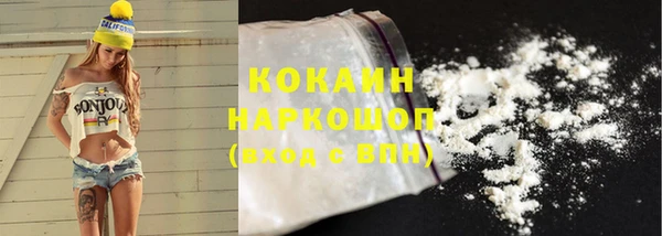 стафф Надым