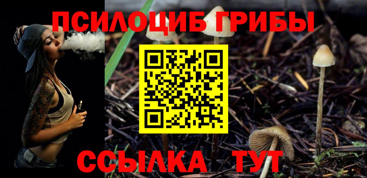 Галлюциногенные грибы MAGIC MUSHROOMS Новоалтайск