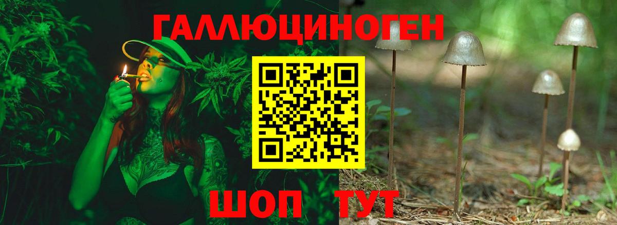 купить закладку  Псилоцибиновые грибы мицелий  Вход с VPN  Новоалтайск  Псилоцибиновые грибы Magic Shrooms 